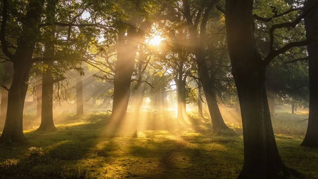 4 Ways Leaders Beat Doubt