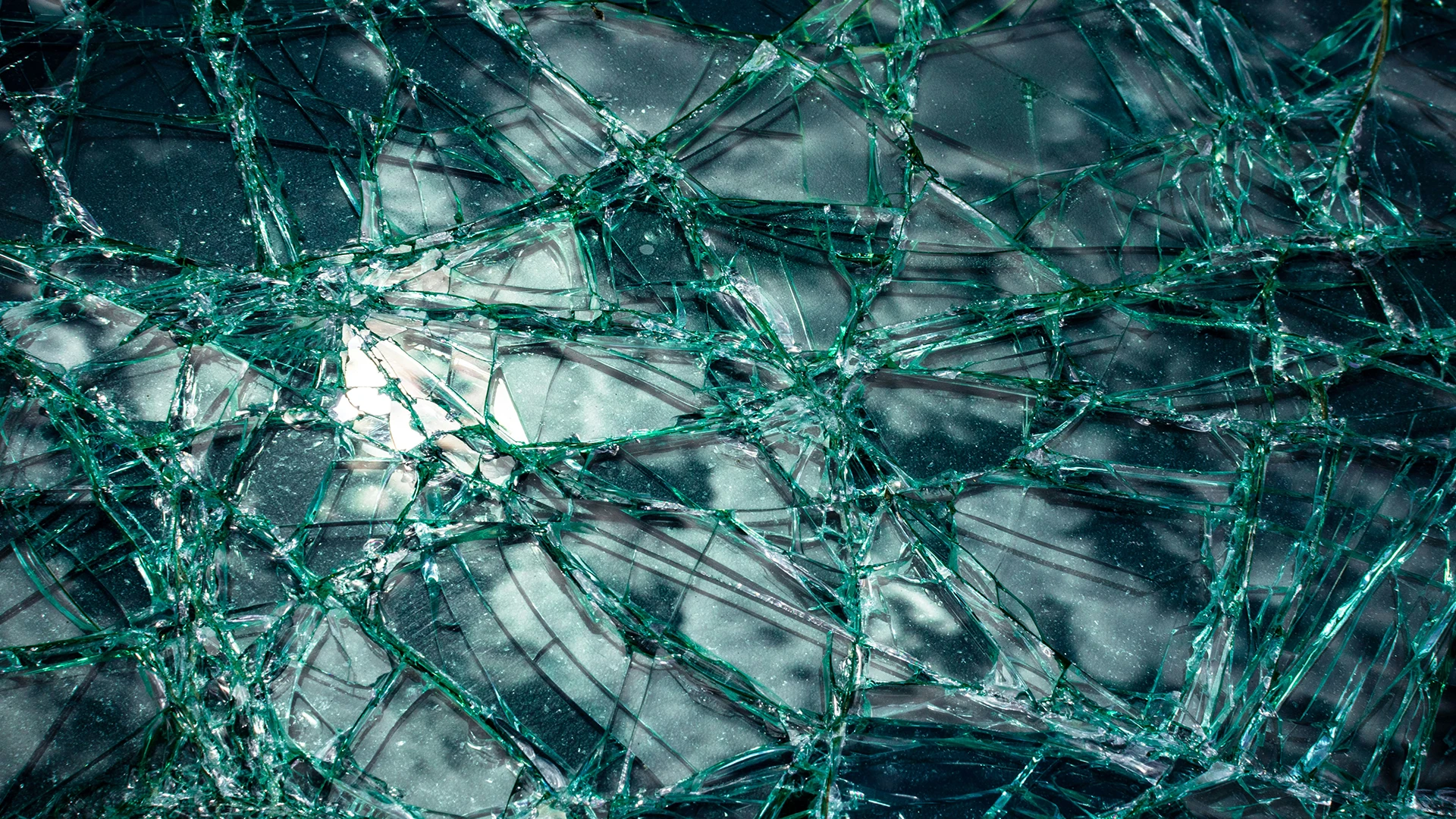 Managing Conflict in the Workplace